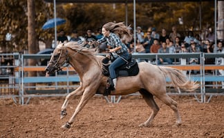Las 5 mejores experiencias ‘vaqueras’ para vivir en Fort Worth, Texas