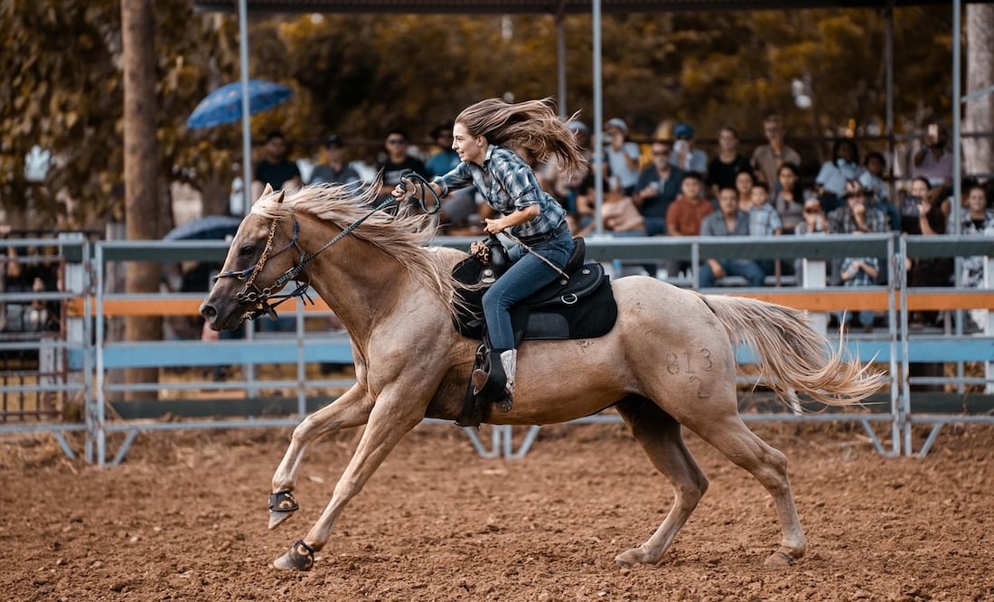 Vaqueros. Pixabay/ RonaldPlett