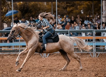 Las 5 mejores experiencias ‘vaqueras’ para vivir en Fort Worth, Texas