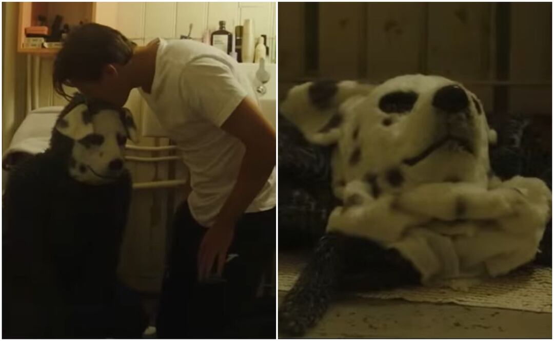 Good boy trata sobre Frank, un hombre que se disfraza y actúa como perro. Foto: Youtube / Saban Films / Rotten Tomatoes Indie