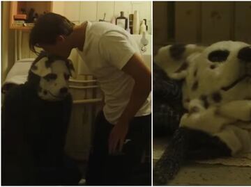 Good Boy: ¿Cuándo se estrena y clasificación en México de la película de terror noruega  de un hombre y su 'perro'?