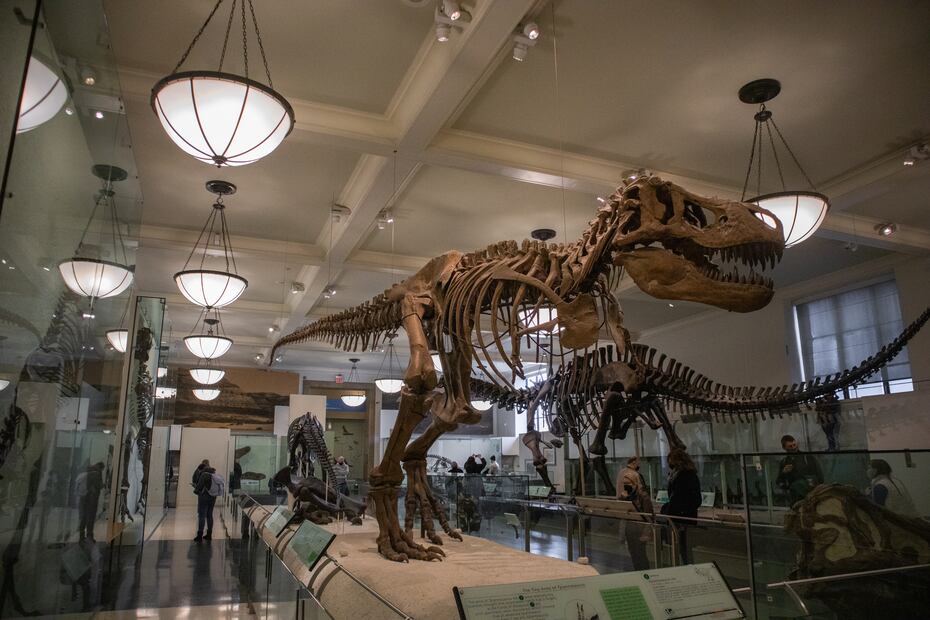 5 museos que no te puedes perder en Nueva York. FOTO: iStock / Wirestock