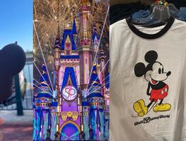 ¿Cuánto cuesta la comida, boletos y souvenirs en Disney World?