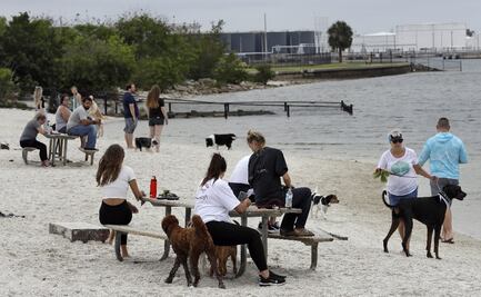 Covid-19. Florida ronda 41 mil casos y abre Palm Beach