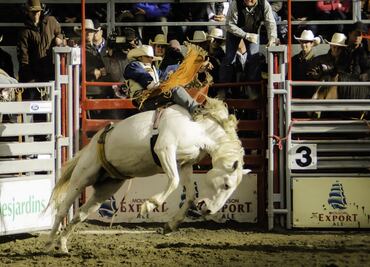 Inicia el rodeo en San Antonio; estos son los precios y experiencia