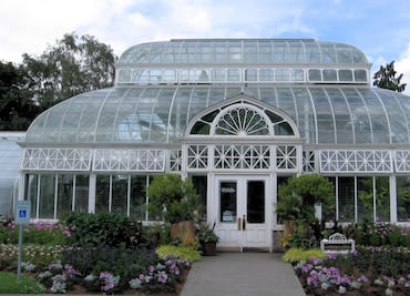 Relájate con un recorrido por el Jardín Botánico de Seattle desde tu casa