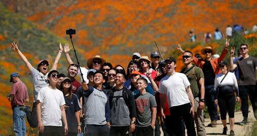 Por una 'selfie', turistas provocan caos en campos silvestres de California 