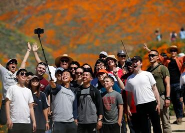Por una 'selfie', turistas provocan caos en campos silvestres de California