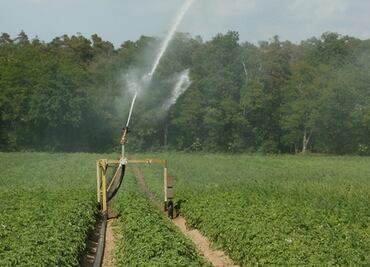 Ofrecen plaza para expertos en gestión del agua en Florida