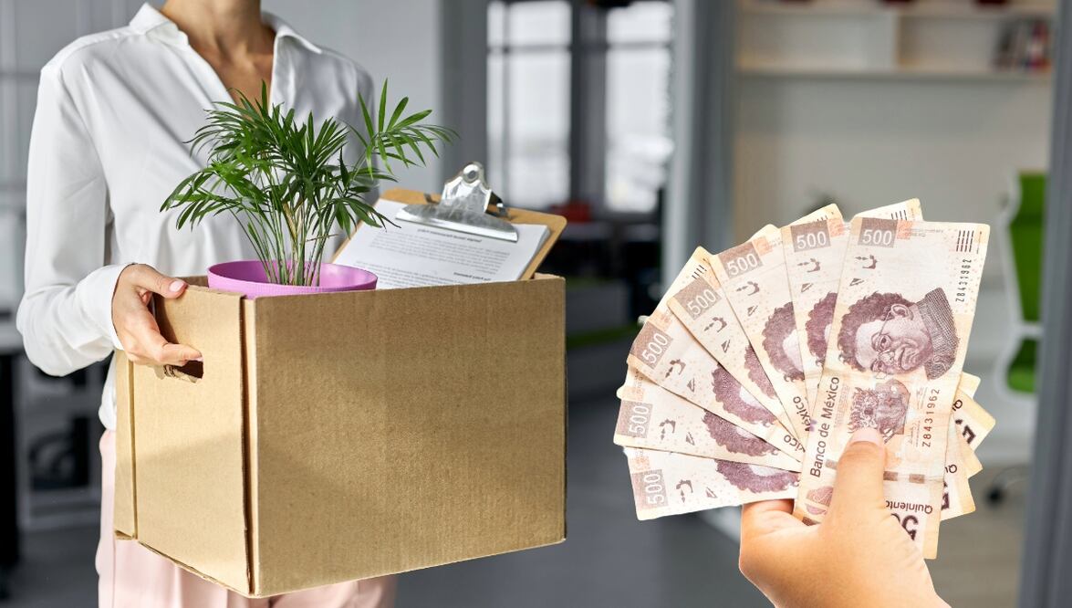 Seguro de desempleo CDMX. Fecha de registro y requisitos para recibir hasta $3,400 pesos. Foto: Adobe