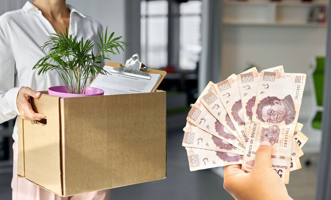 Seguro de desempleo CDMX. Fecha de registro y requisitos para recibir hasta $3,400 pesos. Foto: Adobe