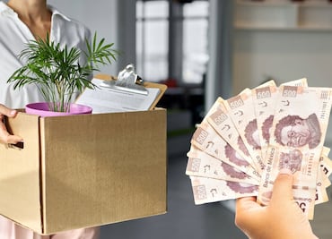 Seguro de desempleo CDMX 2025. Fecha de registro y requisitos para recibir hasta $3,400 pesos