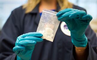 Alertan por aumento de consumo de fentanilo "arcoíris" entre jóvenes