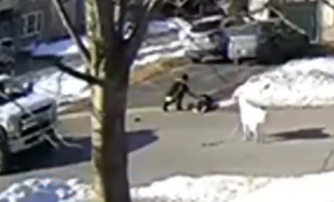 Foto: captura de pantalla