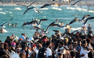 ¿Qué es el Spring Break en Estados Unidos y cuáles son las mejores playas para visitar este 2026?