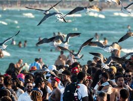 Seis ‘spring breakers’ sufren sobredosis por consumir cocaína con fentanilo en Florida