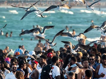 Seis ‘spring breakers’ sufren sobredosis por consumir cocaína con fentanilo en Florida
