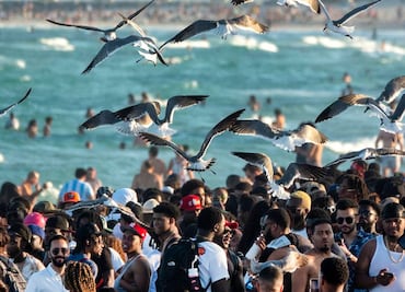 Seis ‘spring breakers’ sufren sobredosis por consumir cocaína con fentanilo en Florida