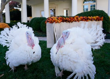 El verdadero origen del Día de Acción de Gracias (Thanksgiving)