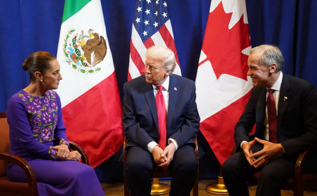 Sheinbaum sobre reunión con Trump: "Acordamos seguir trabajando juntos". Foto  EFE/ @Claudiashein