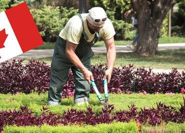 Buscan jardineros mexicanos para trabajar en Canadá; pagan $29,000