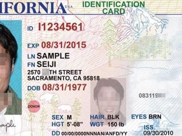 Así puedes tramitar una licencia de manejo en California si eres migrante