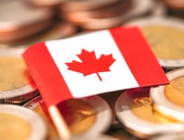 Trabaja en Canadá procesando langosta; buscan mexicanos con primaria, sin inglés o francés