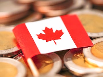 Trabaja en Canadá procesando langosta; buscan mexicanos con primaria, sin inglés o francés