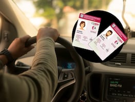 Licencia de conducir permanente GRATIS en abril 2025. Dónde y requisitos