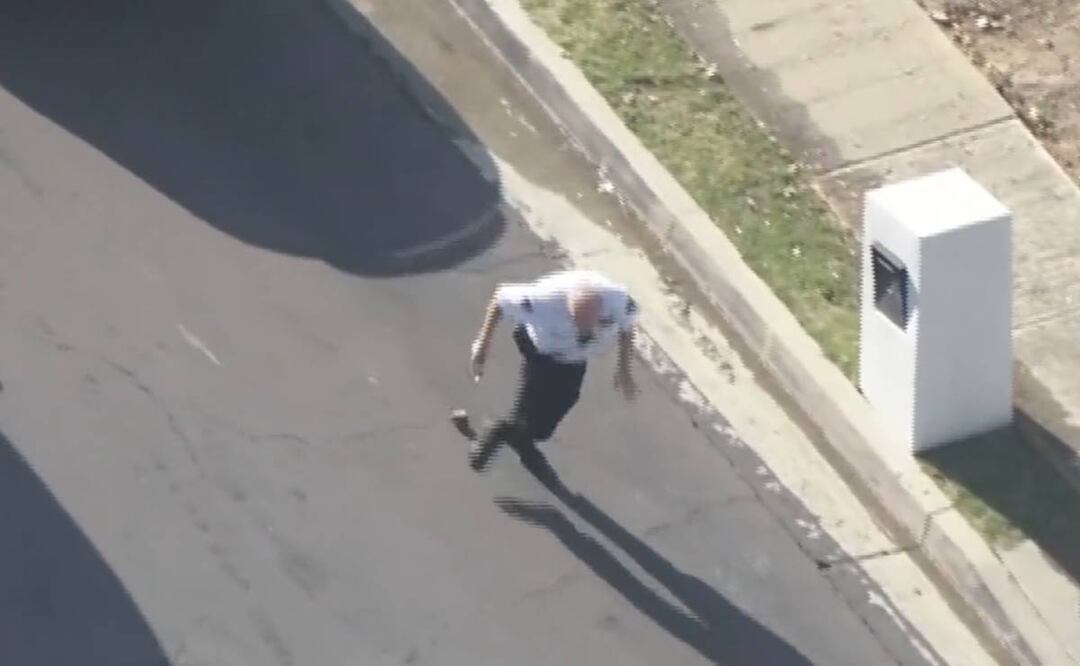 El oficial fue atacado por las abejas cerca de Hayve Avenue. Foto tomada de video