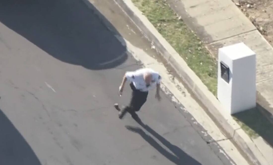 El oficial fue atacado por las abejas cerca de Hayve Avenue. Foto tomada de video