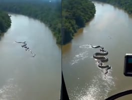 Captan anaconda gigante en el Amazonas. VIDEO