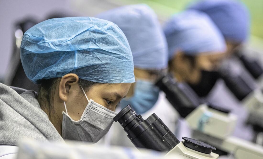 Vacuna experimental de ARN mensajero y personalizada induce respuesta inmunitaria sustancial del cáncer de páncreas. Foto: EFE