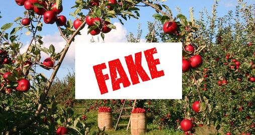 Consulado de EU en Monterrey alerta sobre fraude de trabajo