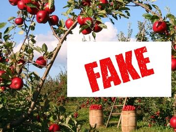 Consulado de EU en Monterrey alerta sobre fraude de trabajo