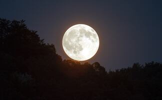 ¿Qué es, cuándo y cómo ver la Luna Rosa de abril 2022?