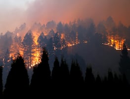 El mayor incendio activo en California ya ha quemado casi 200 mil hectáreas