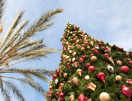 15 actividades para hacer en California durante la temporada navideña