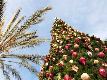 15 actividades para hacer en California durante la temporada navideña