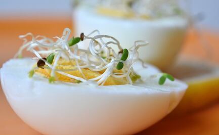 Alertan por alimentos contaminados con E.Coli en EU