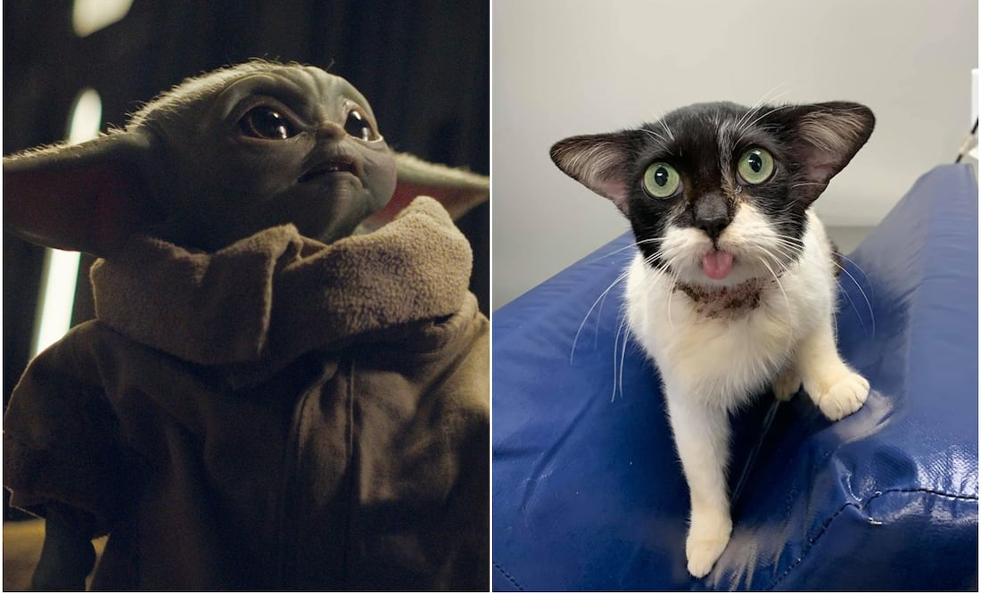 Fotos: Disney Plus vía AP y Facebook Jana Aviles