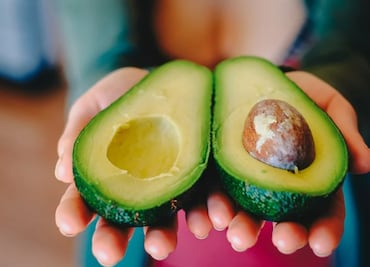 Estados Unidos autoriza importación de aguacate Hass de Jalisco
