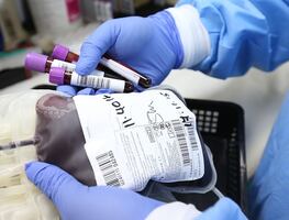 ¿Se puede donar sangre después de recibir la vacuna anticovid?