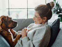 ¿Estresado? Tus perros pueden oler y percibir tu estrés gracias a su sentido del olfato