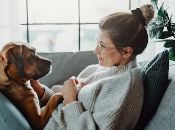 ¿Estresado? Tus perros pueden oler y percibir tu estrés gracias a su sentido del olfato