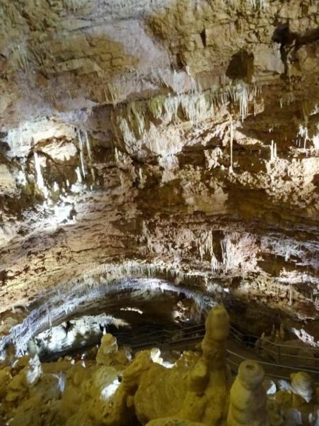 Conciertos, tours y todo lo que puedes hacer en San Antonio durante un viaje relámpago
