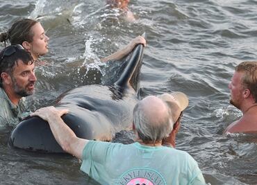 Turistas y locales ayudan a salvar ballenas varadas en Georgia