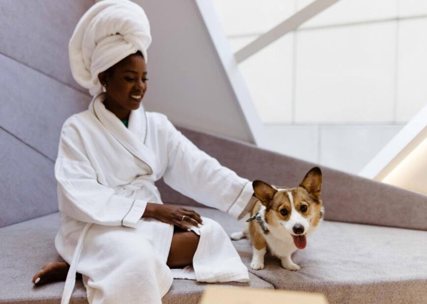 ¡Viaja con tu perrito! Hoteles, restaurantes y atracciones pet-friendly en San Francisco