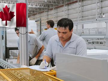 Solicitan en Canadá mexicanos para trabajar en planta de mariscos (sin inglés)