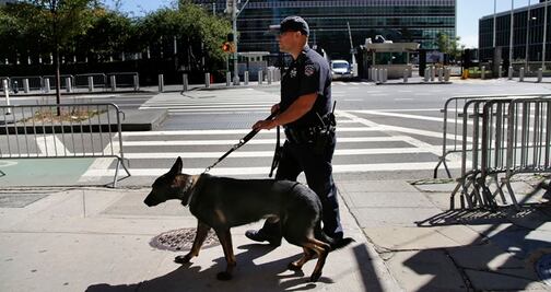 Universidad Estatal de NY tendrá licenciatura en adiestramiento canino